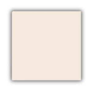 Piso RT 170.045 Retificado Brilhante Bege 56x56cm 2,27m2