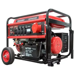 Gerador de Energia a Gasolina 8,2 kVA 110V/220V Trifásico Partida Elétrica