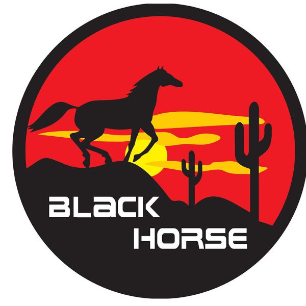 Capa com Cadeado para Estepe Cavalo Negro CARRHEL-457
