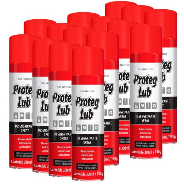 Combo com 15 Desengripantes 300ml PROTEG LUB-K6055