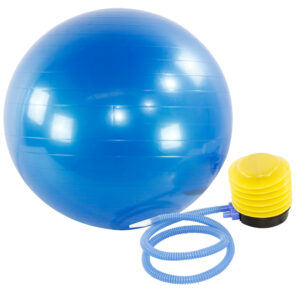 Bola de Pilates 65cm Gym Ball com Bomba de Ar