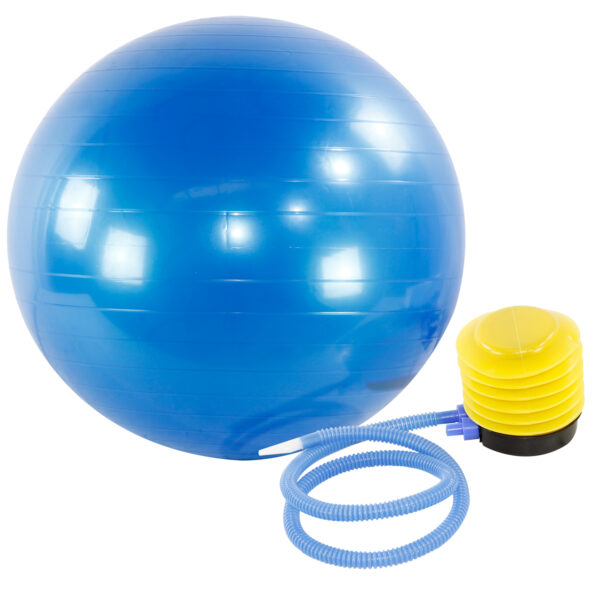 Bola de Pilates 65cm Gym Ball com Bomba de Ar