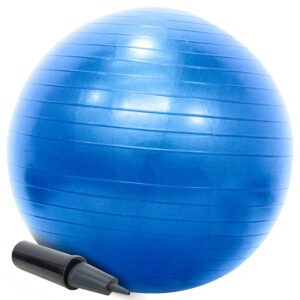 Bola Pilates Suíça 55cm Com Bomba Yoga Abdominais 200kg