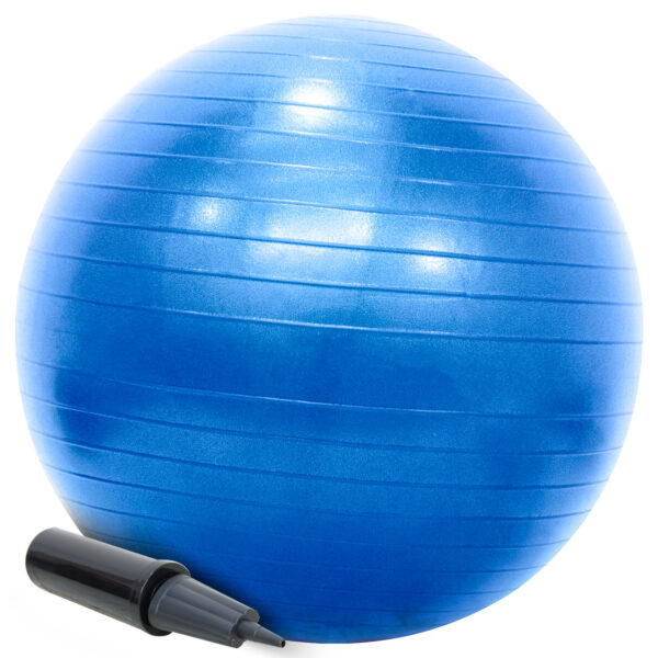 Bola Pilates Suíça 55cm Com Bomba Yoga Abdominais 200kg