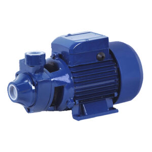 Bomba d’água elétrica periférica 1 Hp 1 Pol – Bivolt