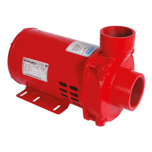 Motobomba incêndio 2.1/2 2.1/2 2.0 cv monofásica 110v/220v – ECS-200 IN
