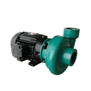 Motobomba monoestágio 2.1/2 2.1/2 4.0 cv trifásica 220v/380v – ECS-400 M/T