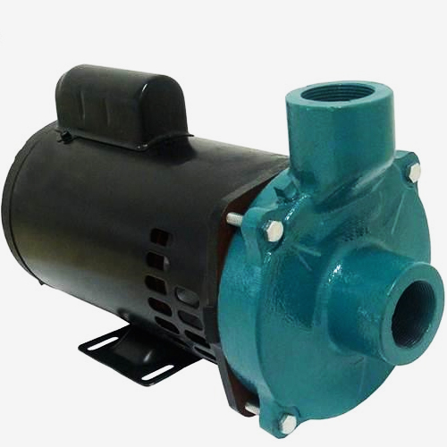 Motobomba centrífuga 1.1/2 1.1/2 3.0 cv trifásica standard – ECS- 300MT