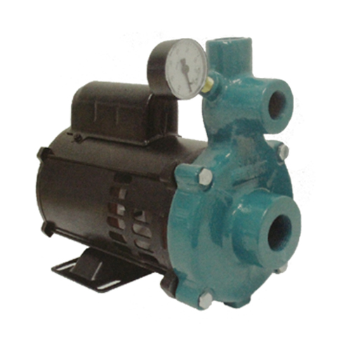 Motobomba Centrífuga Injetora, Monoestágio, 110V/220V, 1/3cv, Injetor I-210, 4 Polegadas – ECI-50M