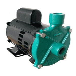 Motobomba Centrífuga, Monofásica 110V/220v ,1.0Cv – MCS – 100M