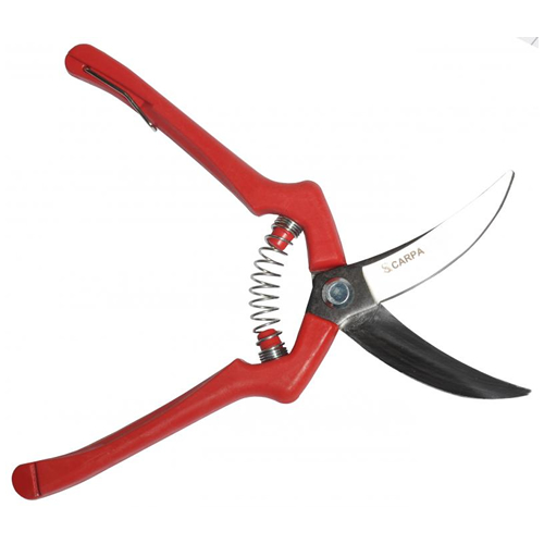 Tesoura Alho 20 cm com Cabo Plástico