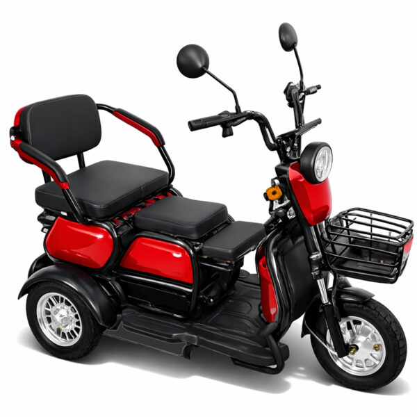 Triciclo Elétrico 600w 32km/h Sem CNH Autonomia de 40Km Suporta até 250kg